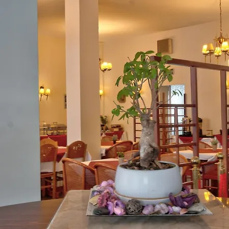 Hotel Rex